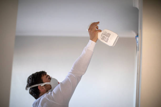 Attic Mold Removal in Pinehurst, NC